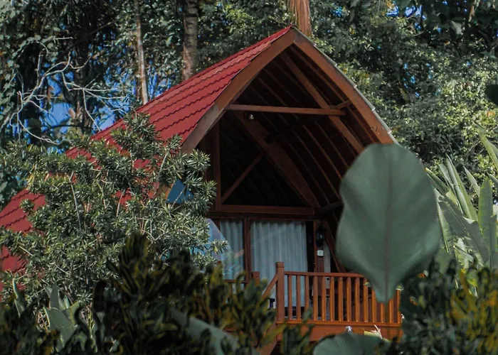 Kusfarm Bali By Ahm